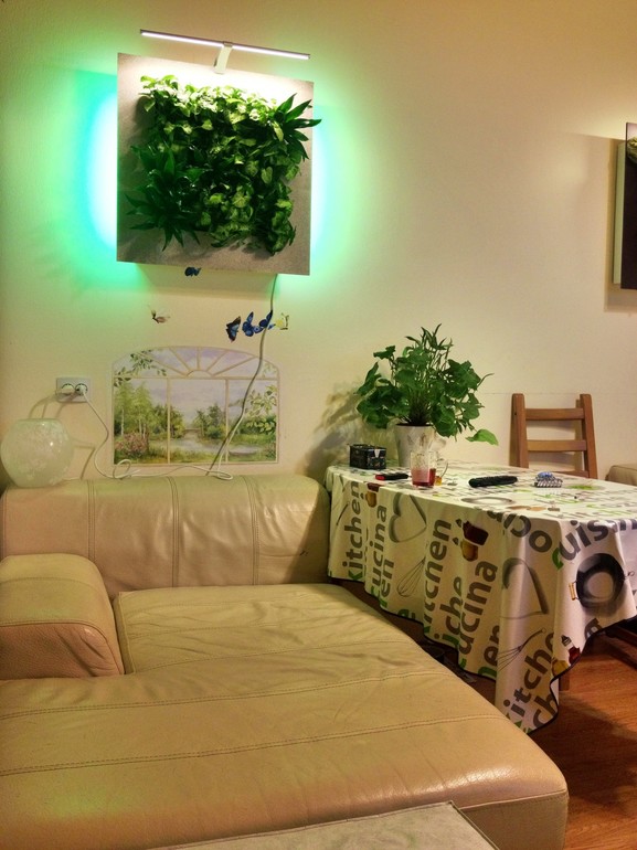 Вертикальное озеленение