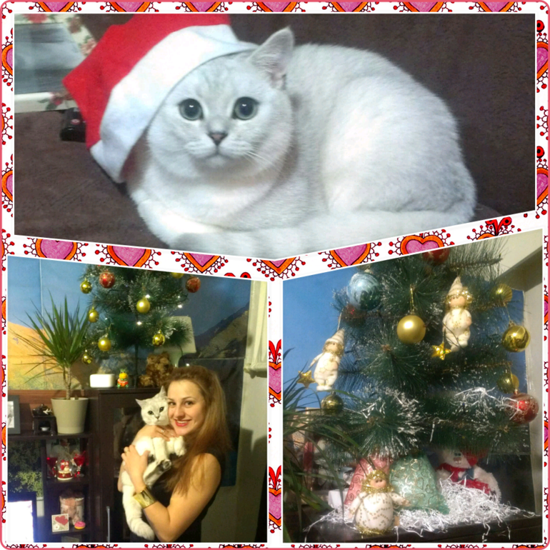 мандариновое настроение