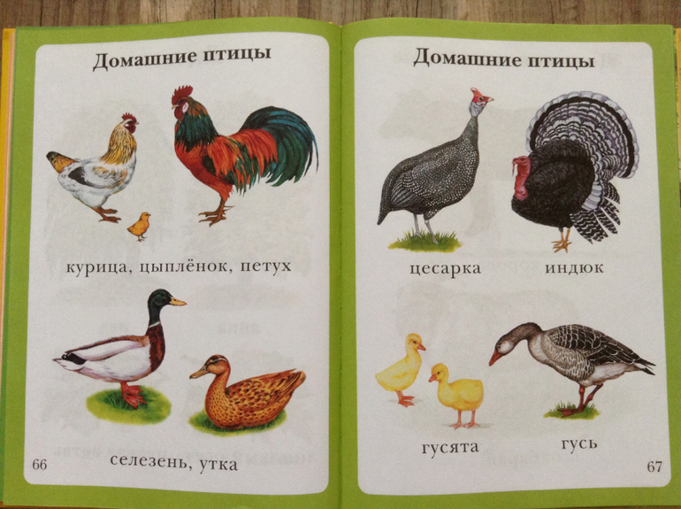 Наши майские книги