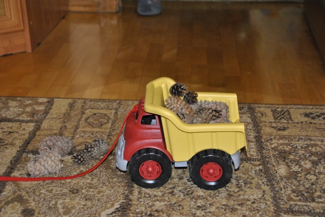 Тематическая неделя под кодовым названием «Мишка косолапый по лесу идет... шишки собирает, песенки поет...»)) День первый. Шишка.