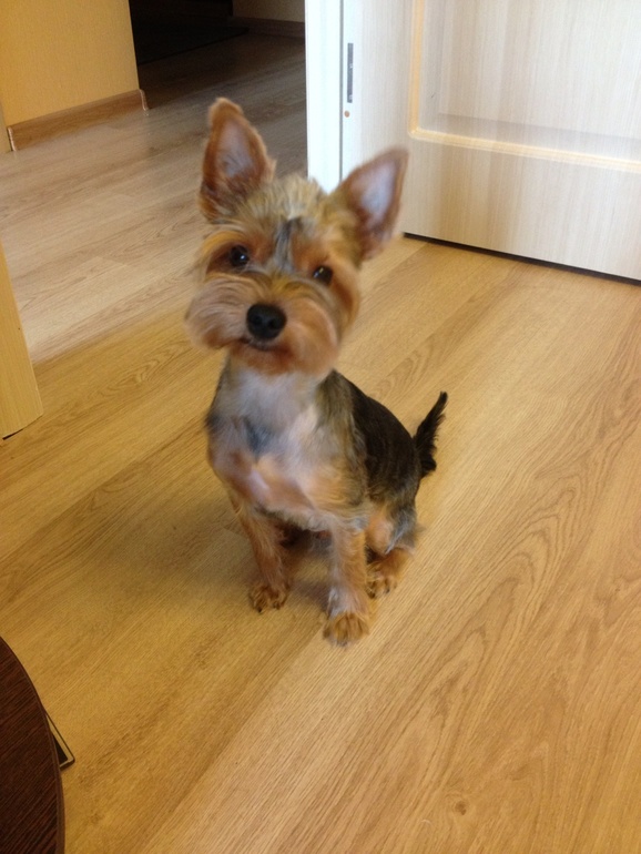 Мой любимый Роник.