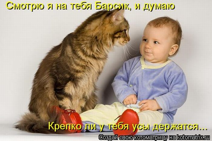Какая прелесть!!!