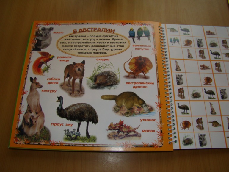 САФАРИ СУДОКУ ДЛЯ ДЕТЕЙ.