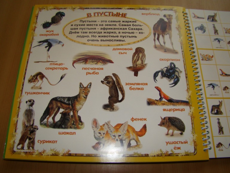 САФАРИ СУДОКУ ДЛЯ ДЕТЕЙ.