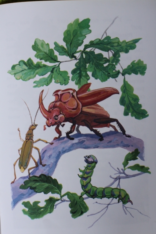 Сказки про Мушонка и его друзей