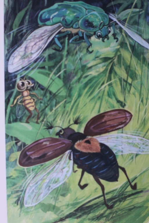 Сказки про Мушонка и его друзей