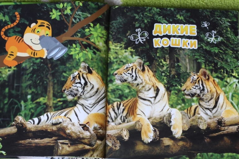 Энциклопедия животных для малышей