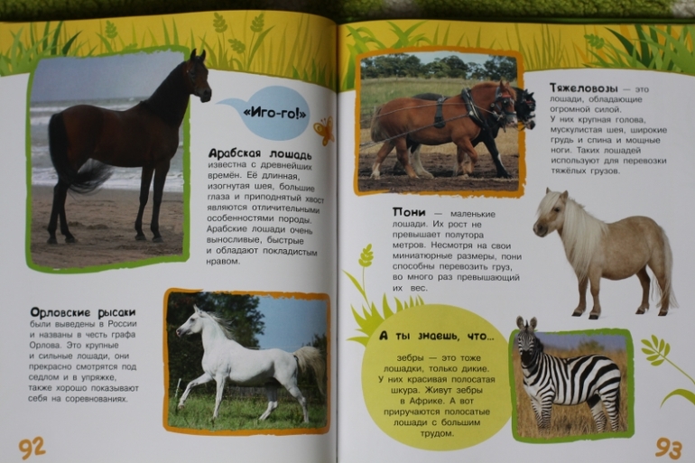 Энциклопедия животных для малышей