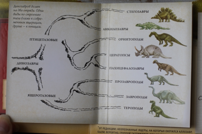 Динозавроведение. Поиски затерянного мира