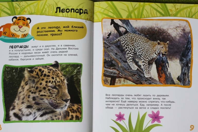 Энциклопедия животных для малышей