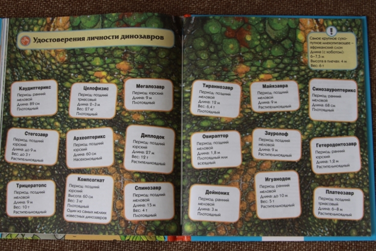 Познакомься, мама...