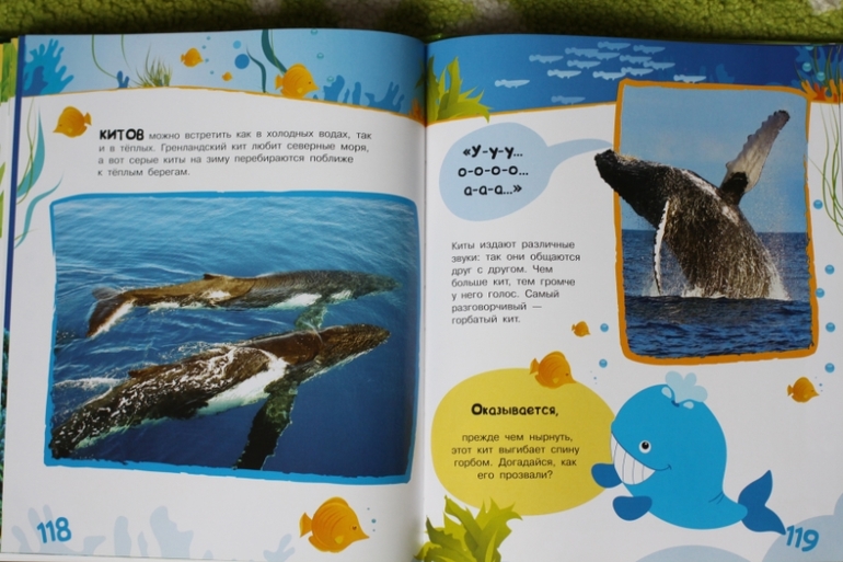 Энциклопедия животных для малышей