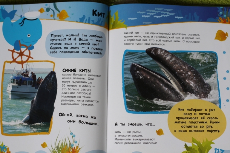 Энциклопедия животных для малышей