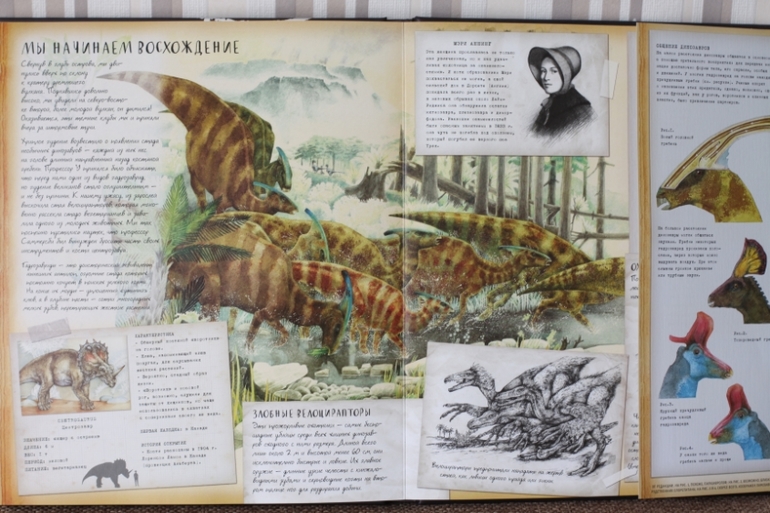 Динозавроведение. Поиски затерянного мира