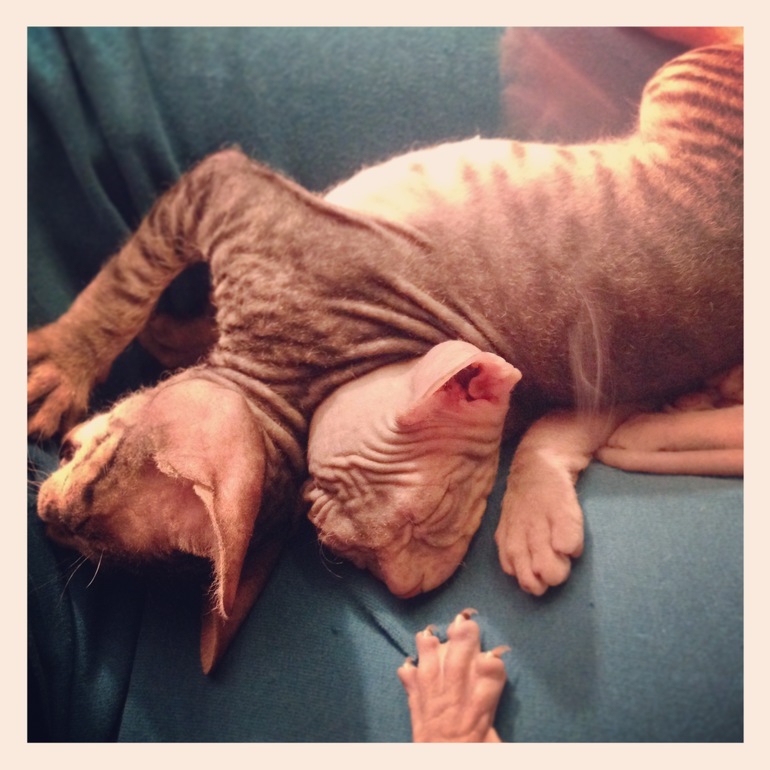 1,5 Мес малышне!!)))