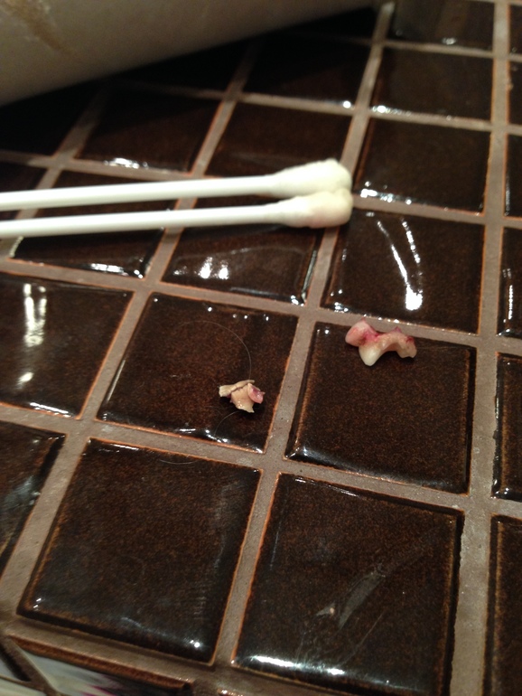 Собакины мои и зубы))