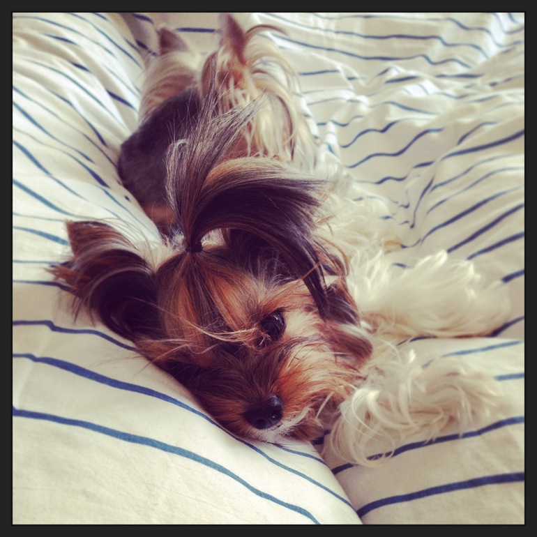 Фото моих девочек)))