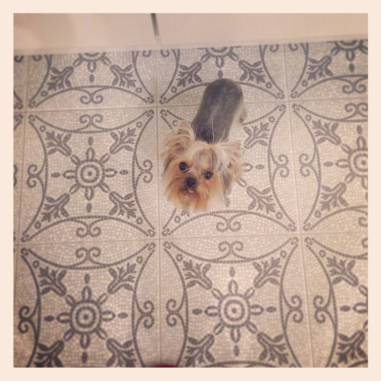 Фото моих девочек)))