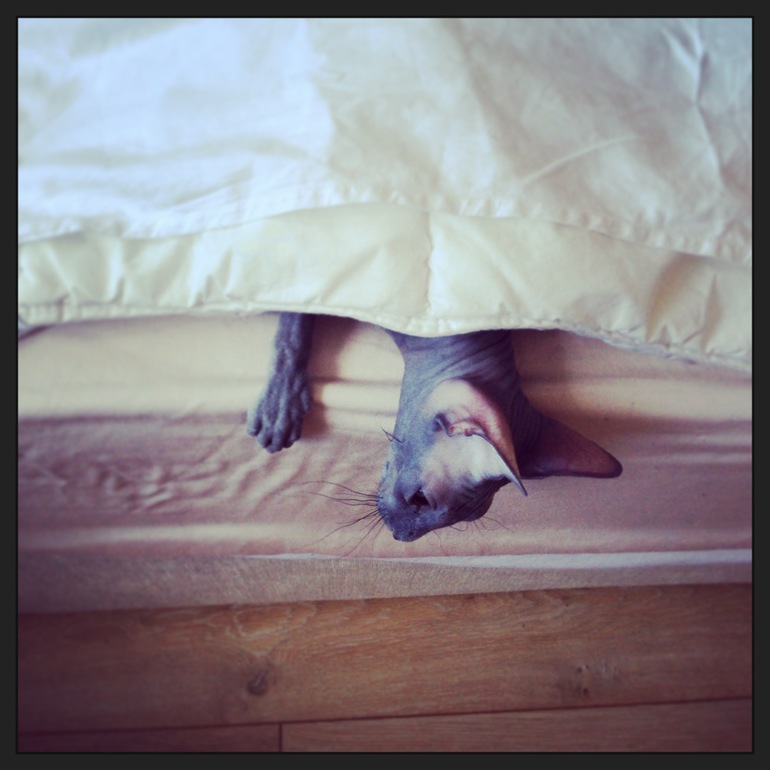 Фото моих девочек)))