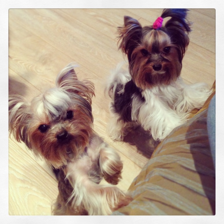 Фото моих девочек)))