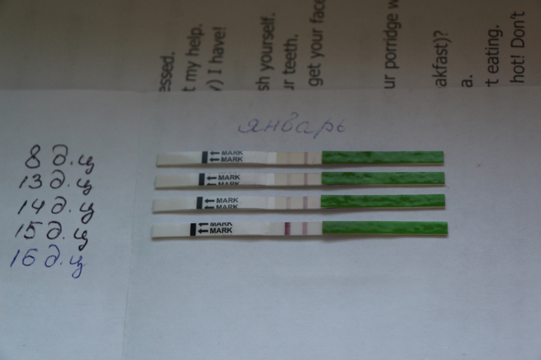 Кажется пора,зачихайте меня кто заразный!!!)