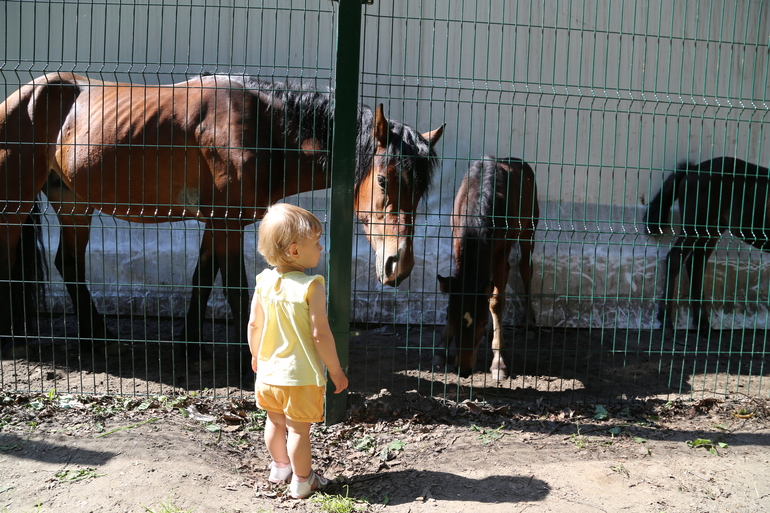 Навстречу природе