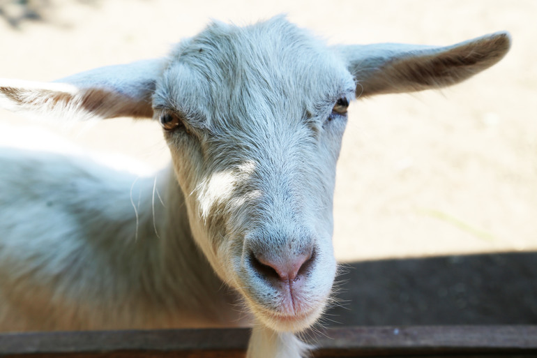 Навстречу природе