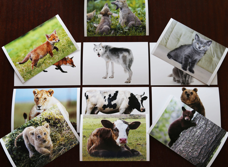 Навстречу природе