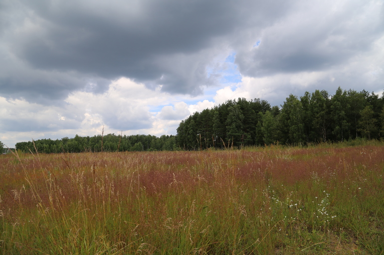 Навстречу природе