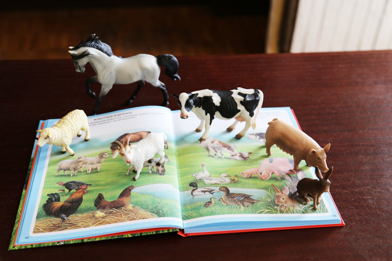 Навстречу природе