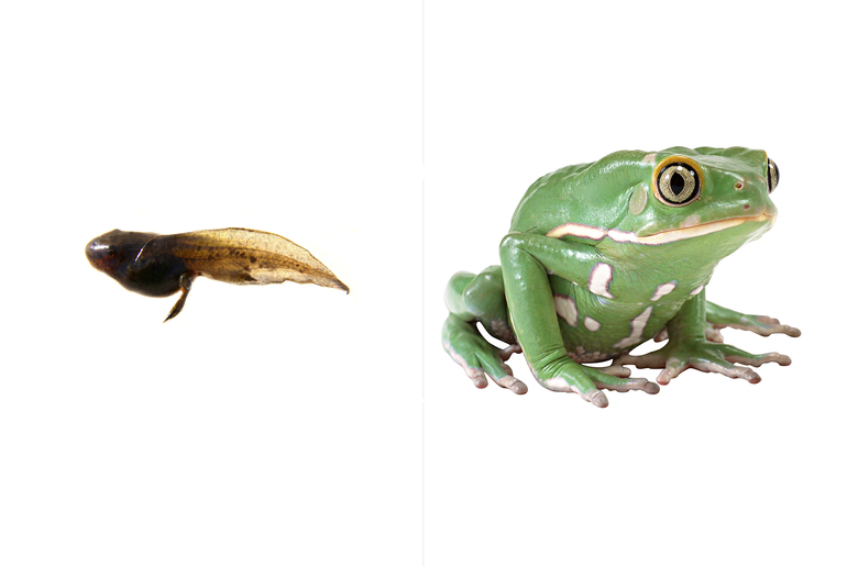 Навстречу природе