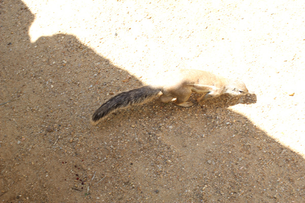 Наш отдых в ПРАГе.
