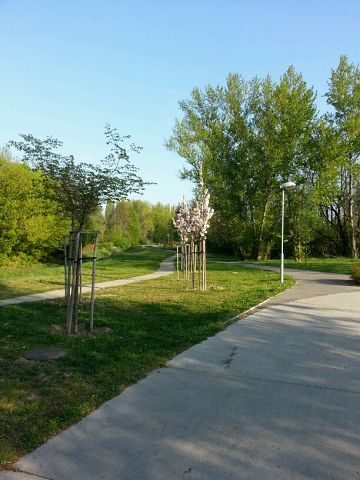 Пиештяны (Словакия). Велосипедные зарисовки.