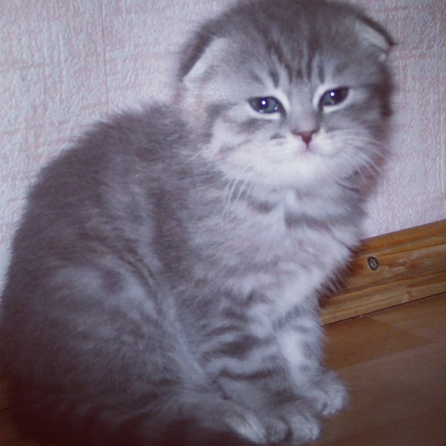 Бабею год.
