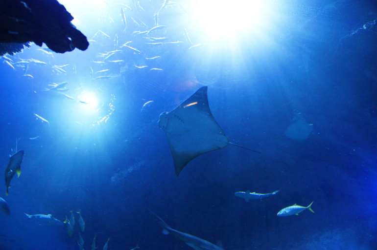 Гонконг с детьми