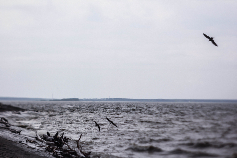 Фото-зарисовки