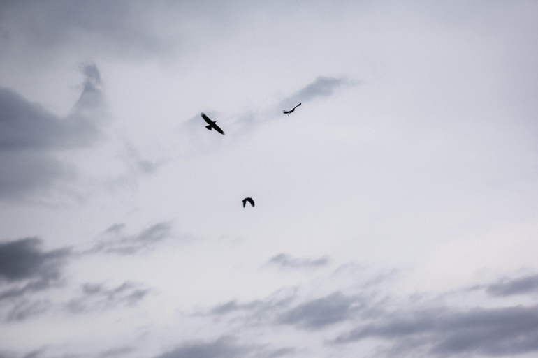 Фото-зарисовки