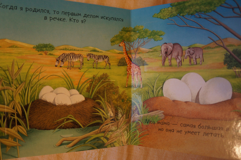 Наши книжки на 8 - 12 мес. - картонная часть