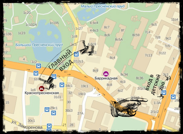 В зоопарк с 11-месячным малышом.