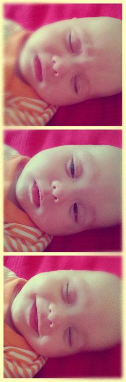 Львиный сон