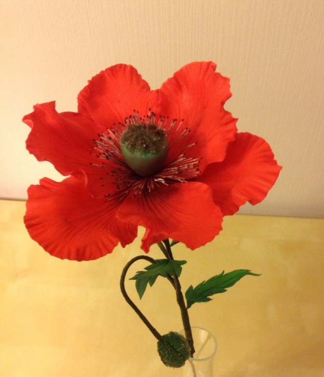 Маки для любимой мамы