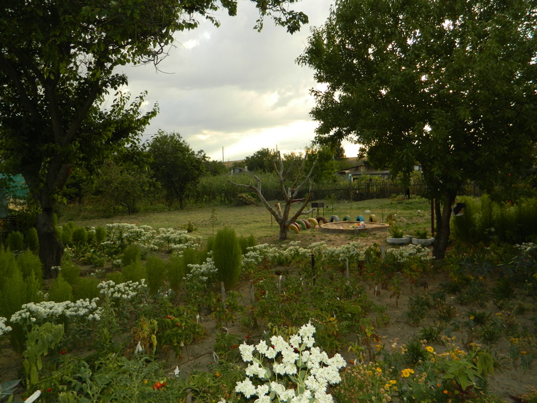 Отдых в крыму