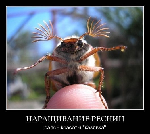 Я плакала от смеха...........))))))