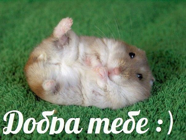 Для тех, кто зашел ко мне в гости:)