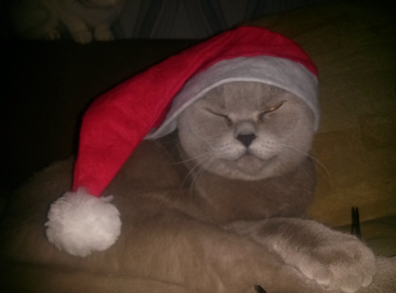 создаем себе новогоднее настроение!