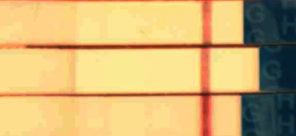 Что делать то?