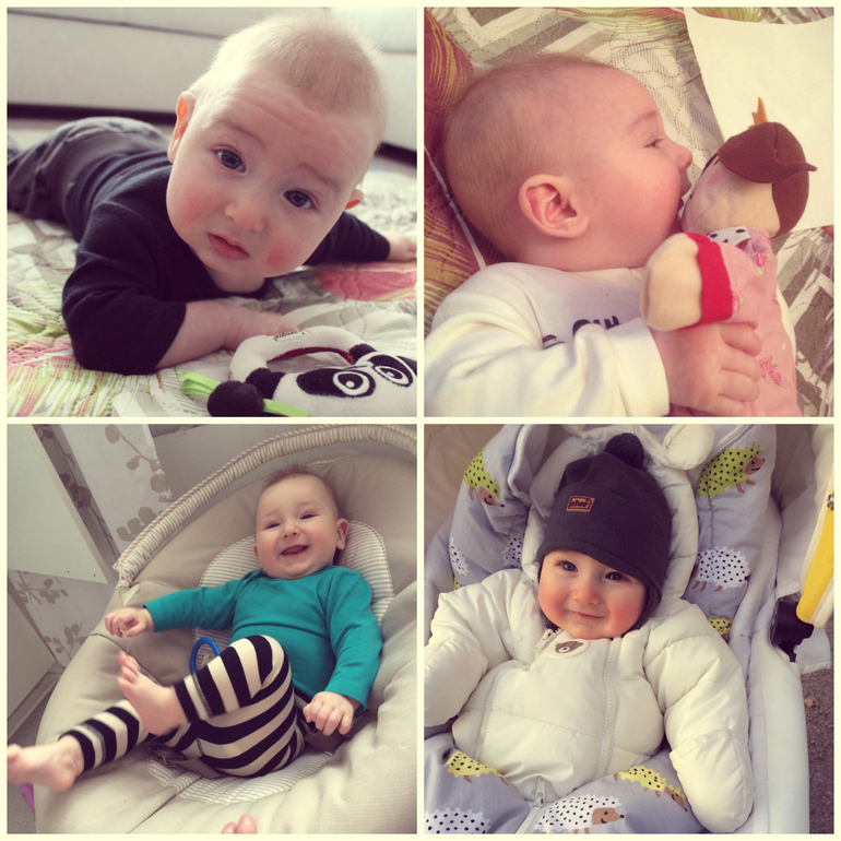 Ярославчику пять!