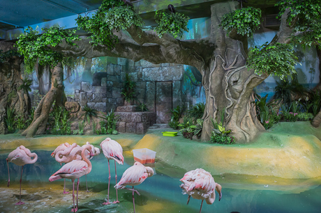 Были в Московском зоопарке. Не ахти...