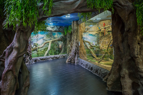 Были в Московском зоопарке. Не ахти...