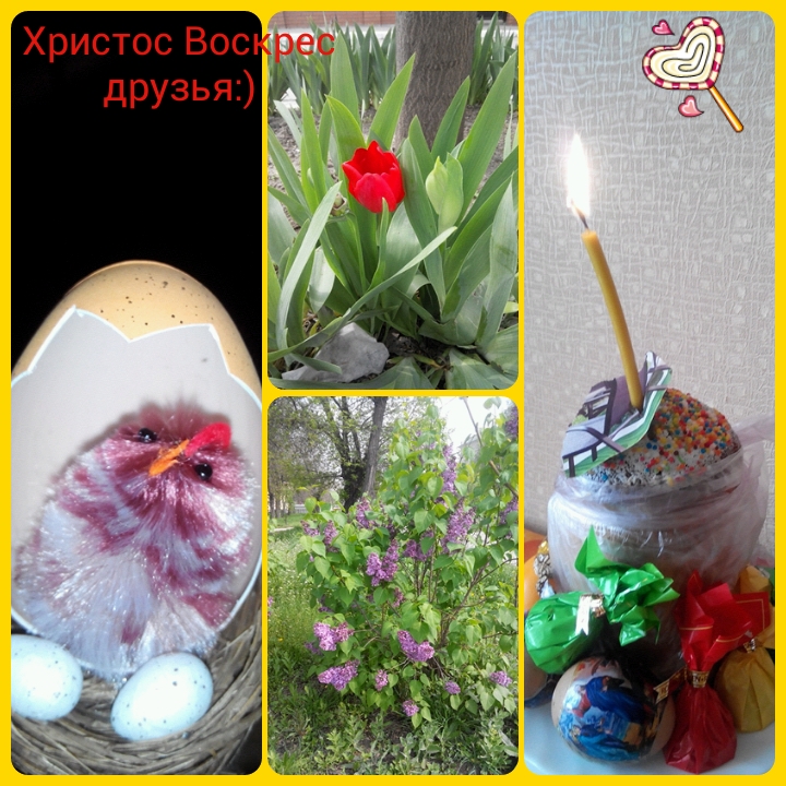 милые мои ббешечки с праздником Вас Христос Воскрес)я вас очень люблю дорогульки мои